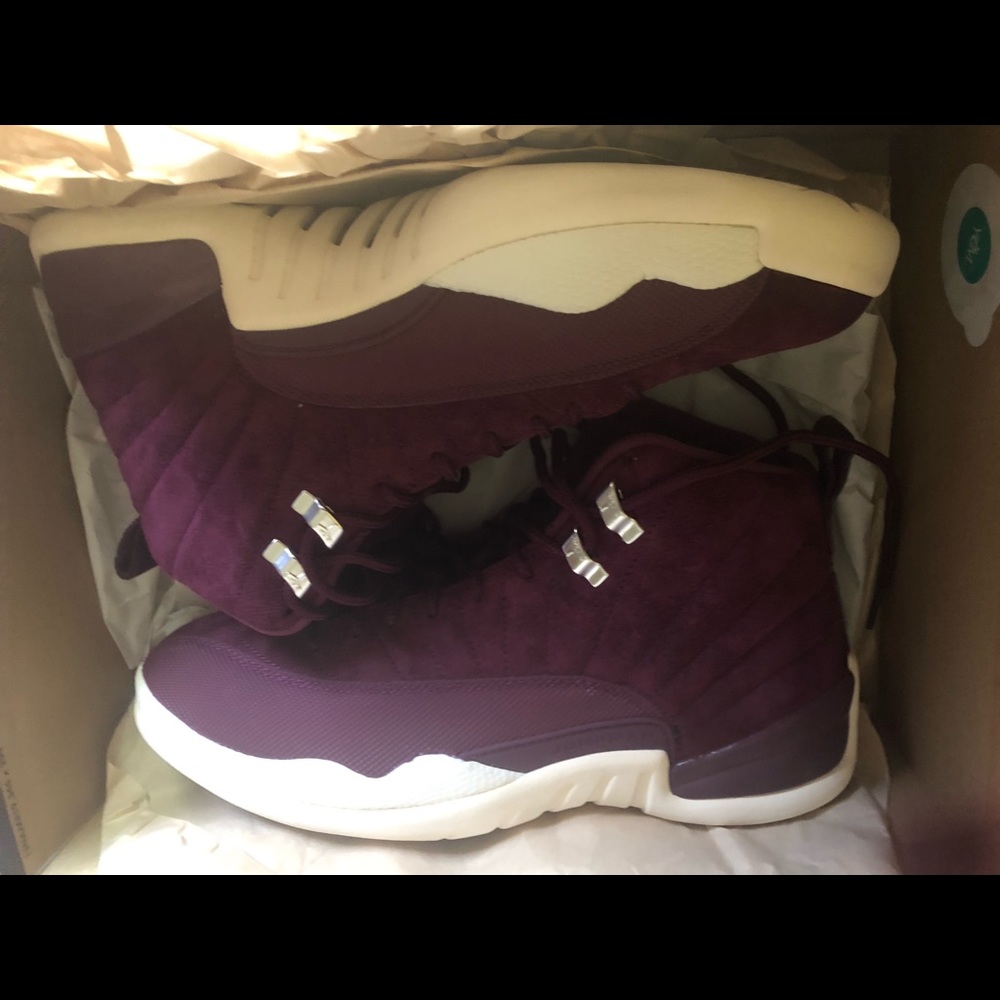 Air Jordan 12 retro